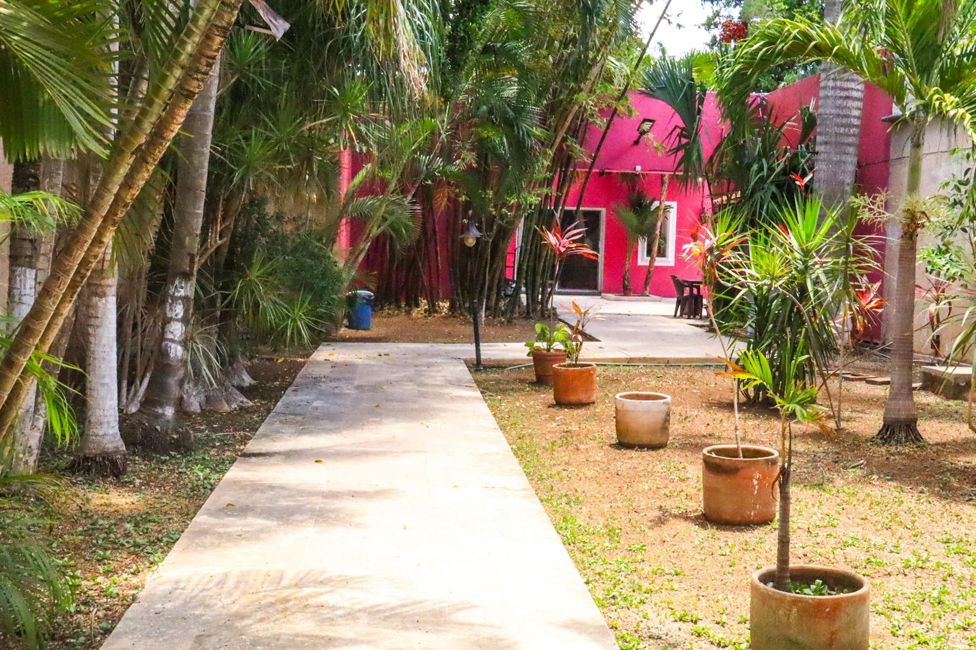 Casa Isabella Hotel Cozumel Værelse billede