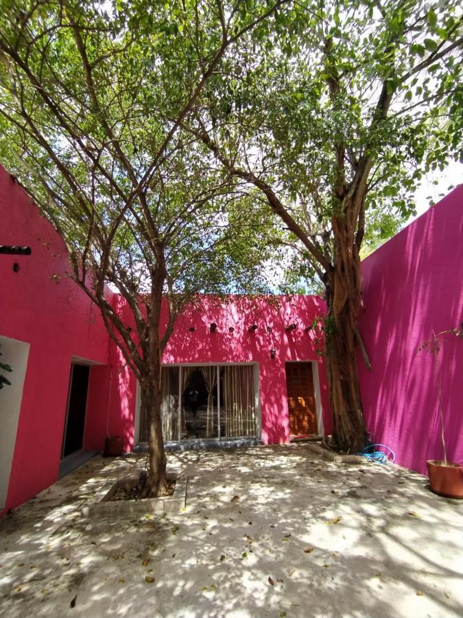 Casa Isabella Hotel Cozumel Eksteriør billede